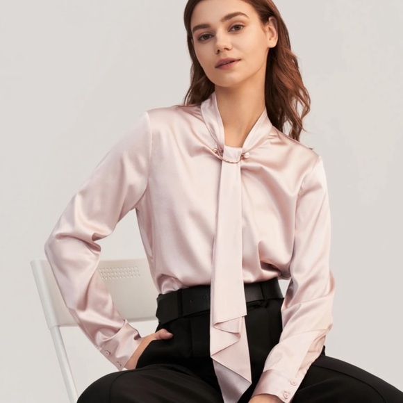 Pale Pink Silk Feminine Stand Collar Blouse Top with Pearl Clip Brooch - Picture 3 of 6